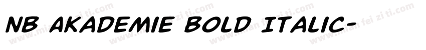 NB Akademie Bold Italic字体转换